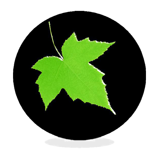 Southeast Financial Services Inc.